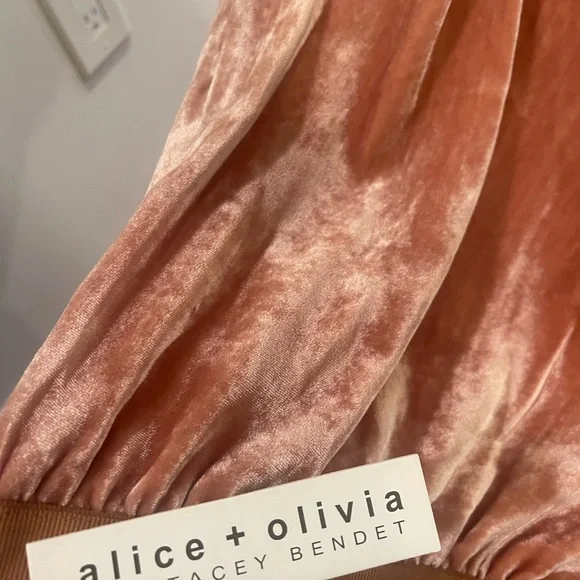 Alice + Olivia Velvet Wide-Leg Pants in Peach BRAND NEW WITH TAGS - Picture 10 of 10